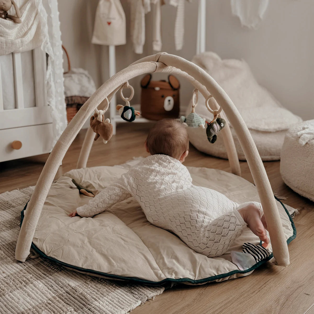 Play Gym - Wildlife