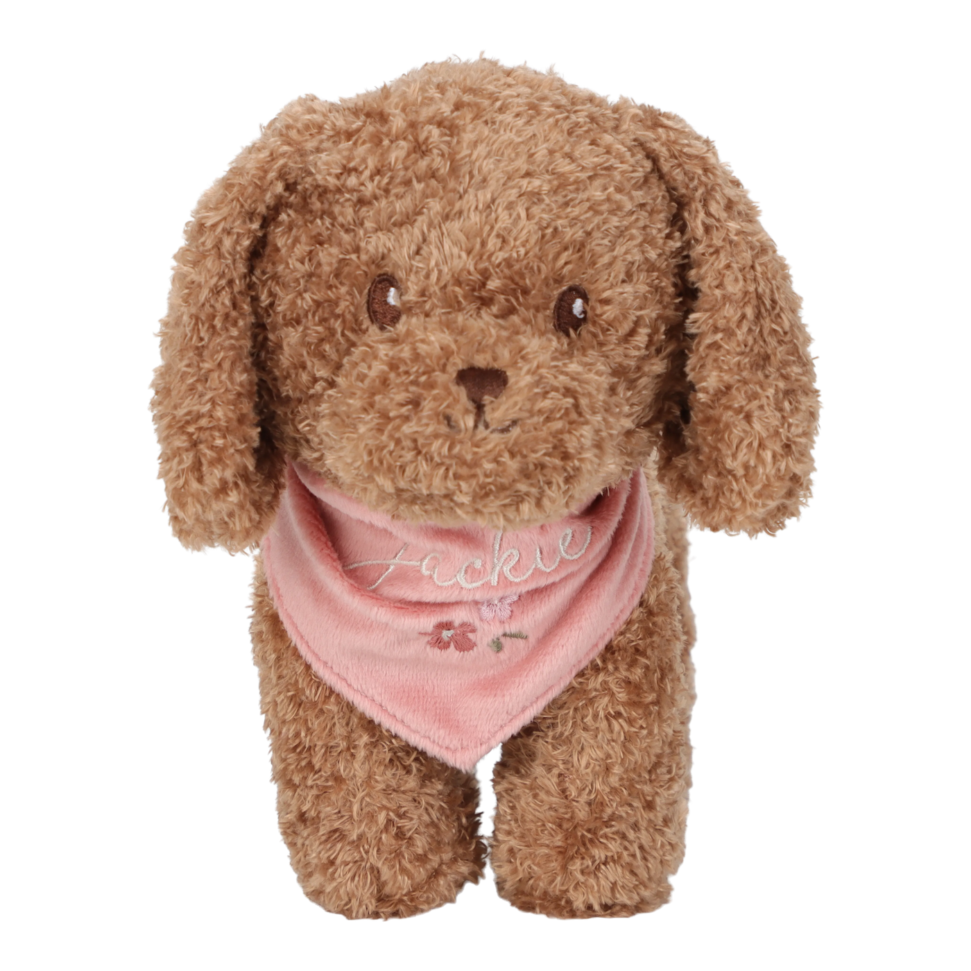 Hundur í burðartösku