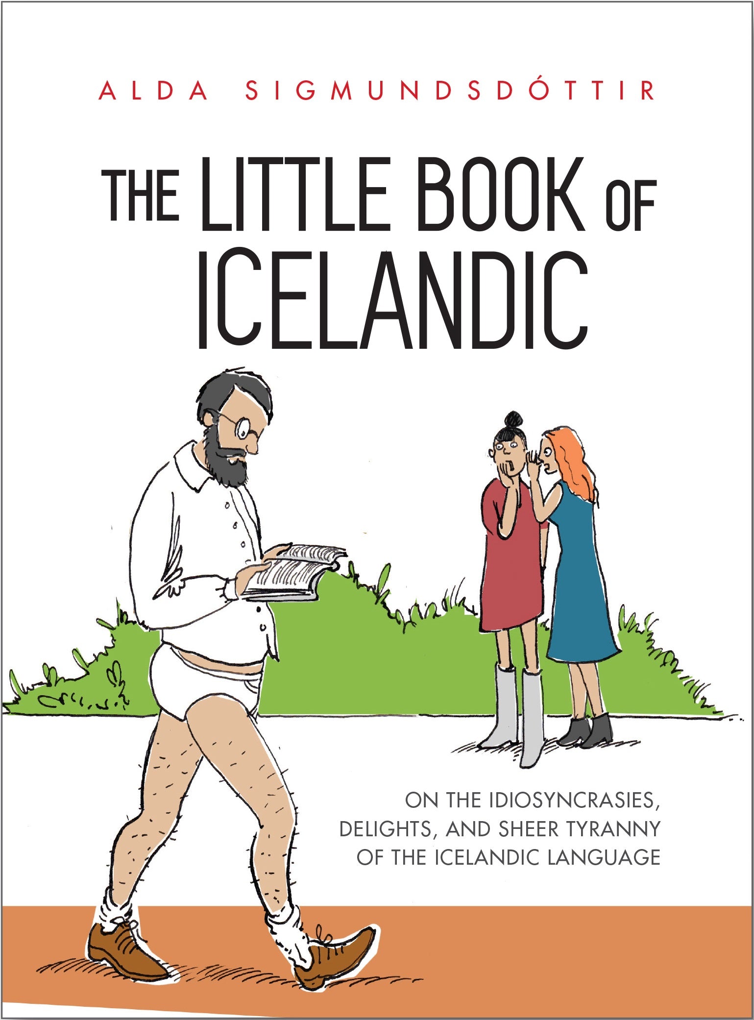 The little book of icelandic