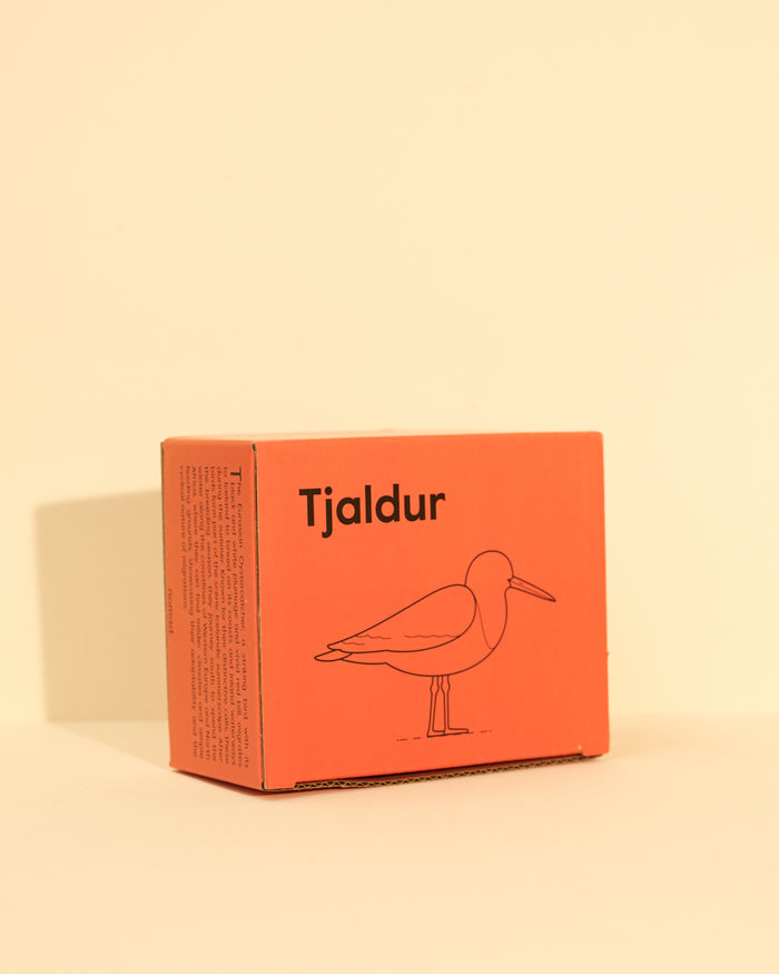 Íslandsfuglar by nomad. - Tjaldur