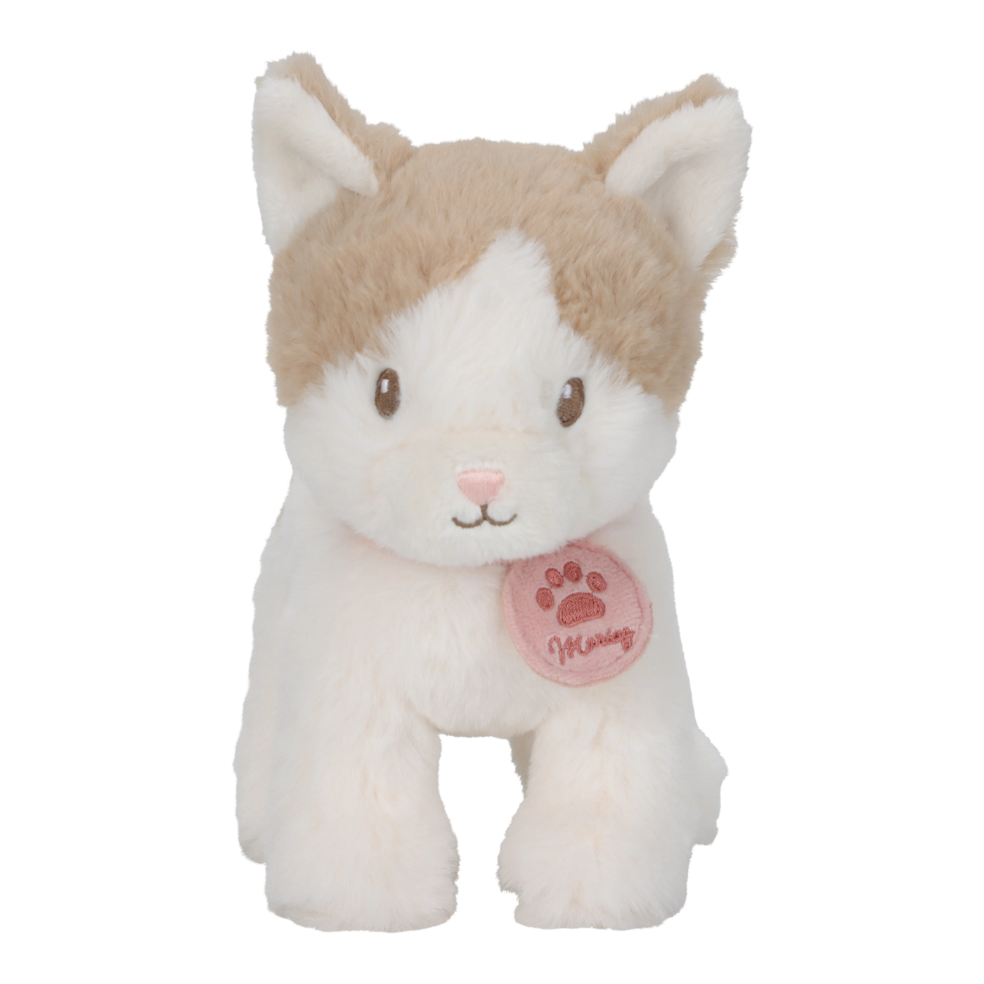 Kisa í burðartösku