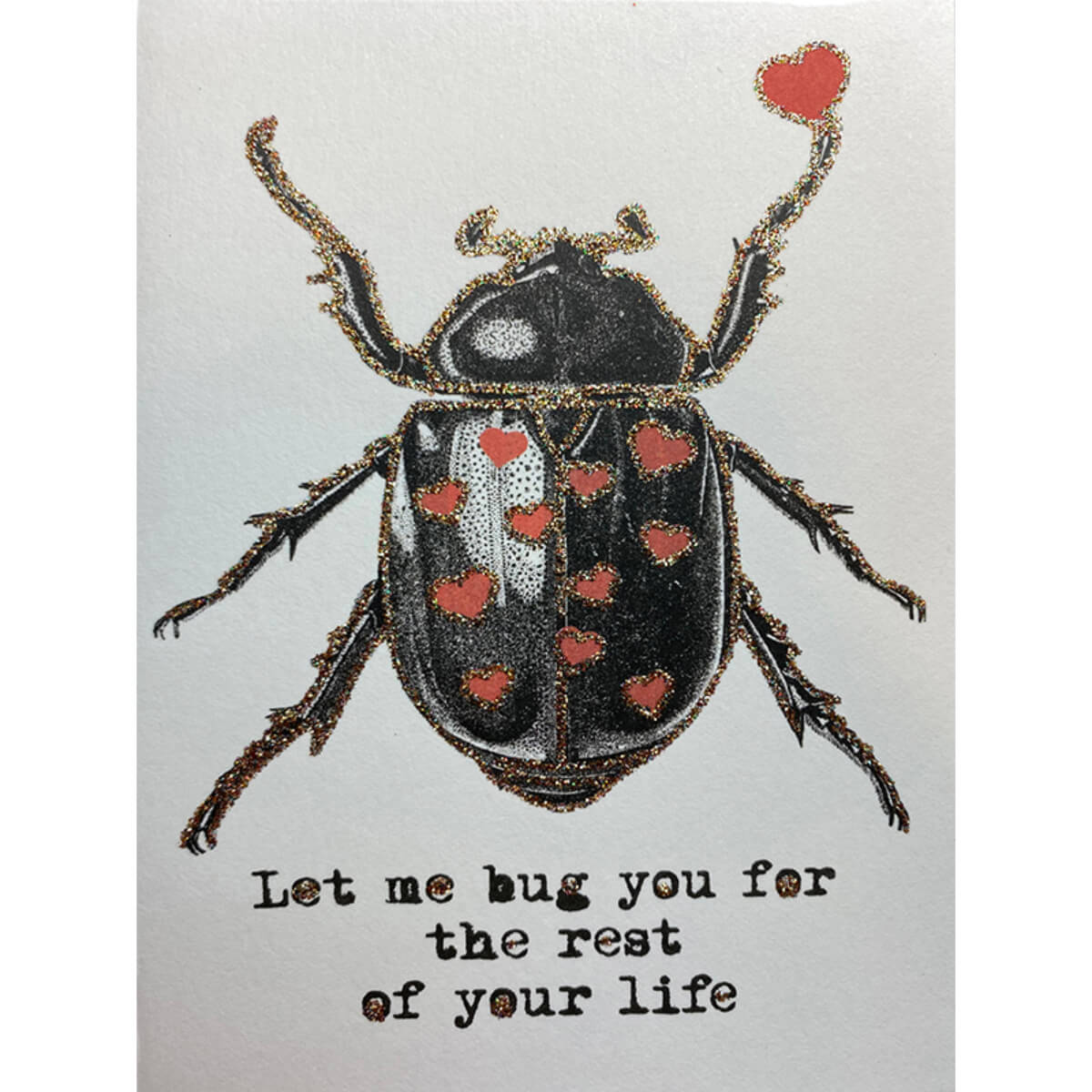 Kort - Let me Bug you