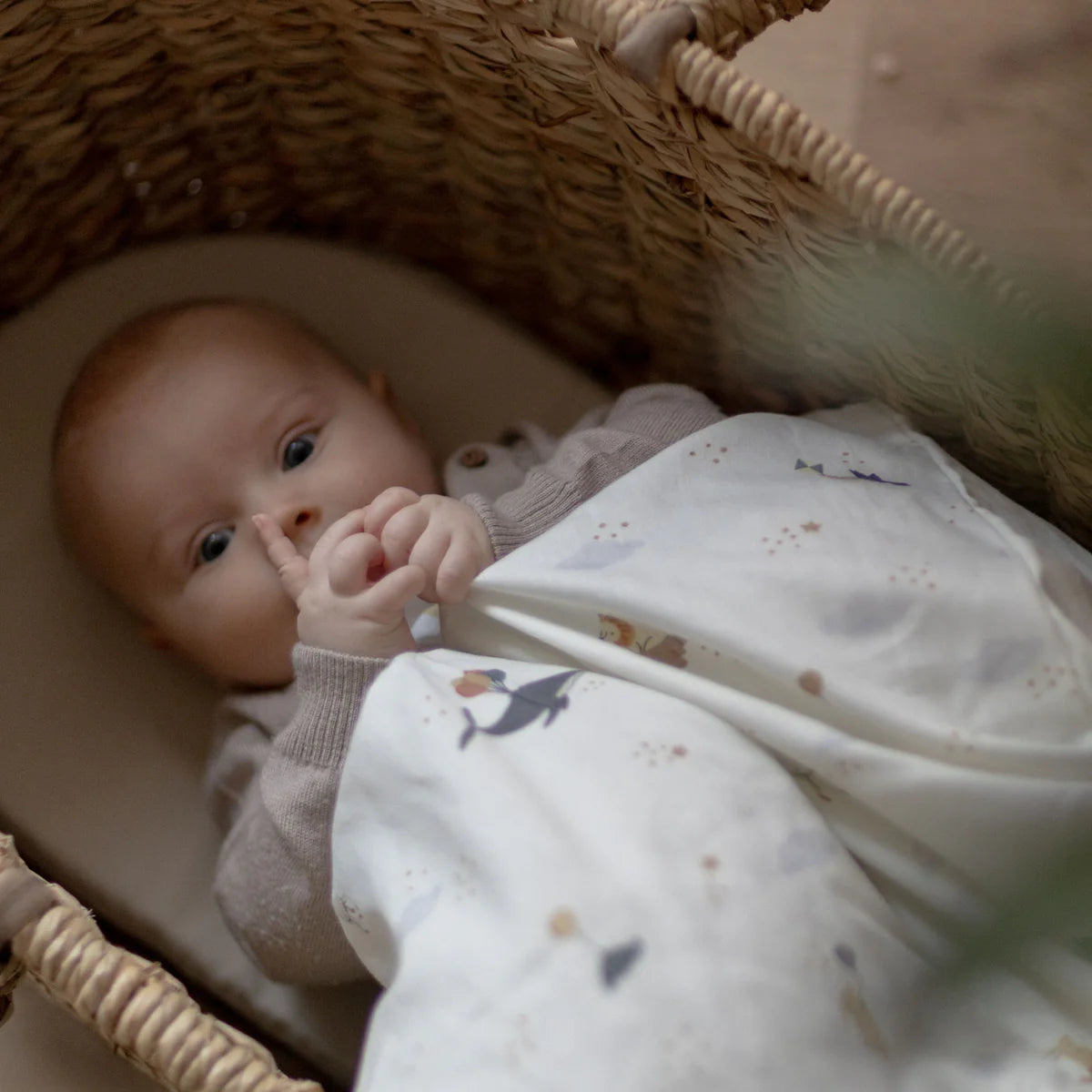 SÆNGURFÖT BABY Sebra world