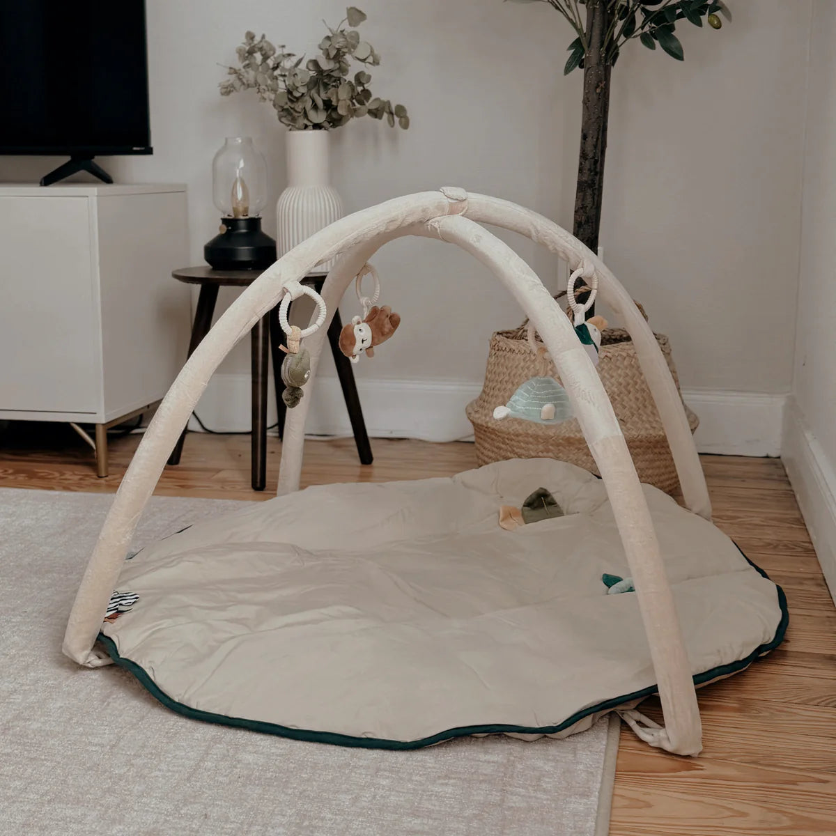 Play Gym - Wildlife