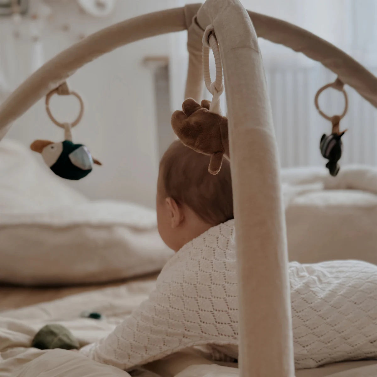 Play Gym - Wildlife