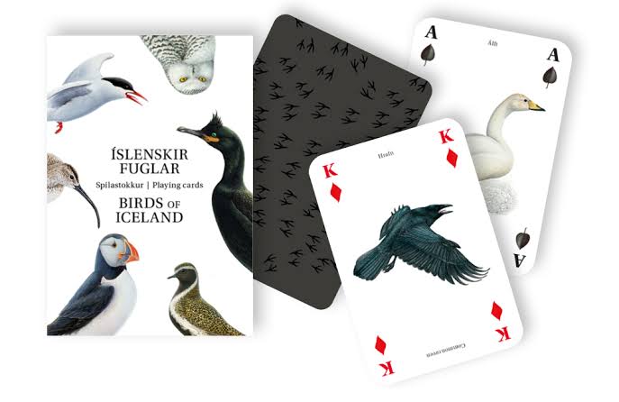 Spilastokkur – Íslenskir fuglar
