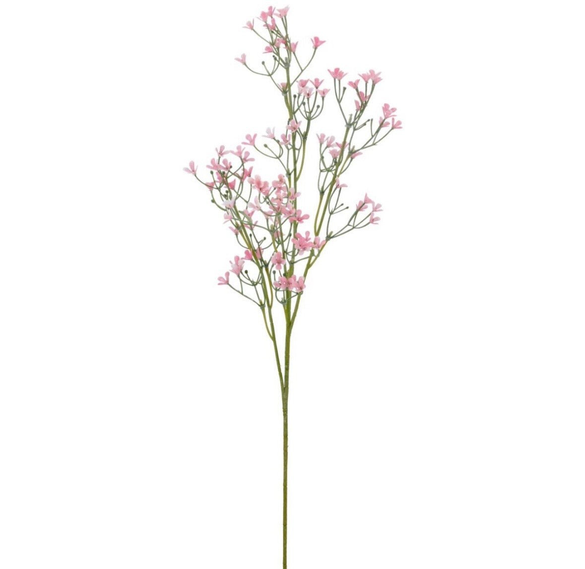 Brúðaslör rós h: 69cm