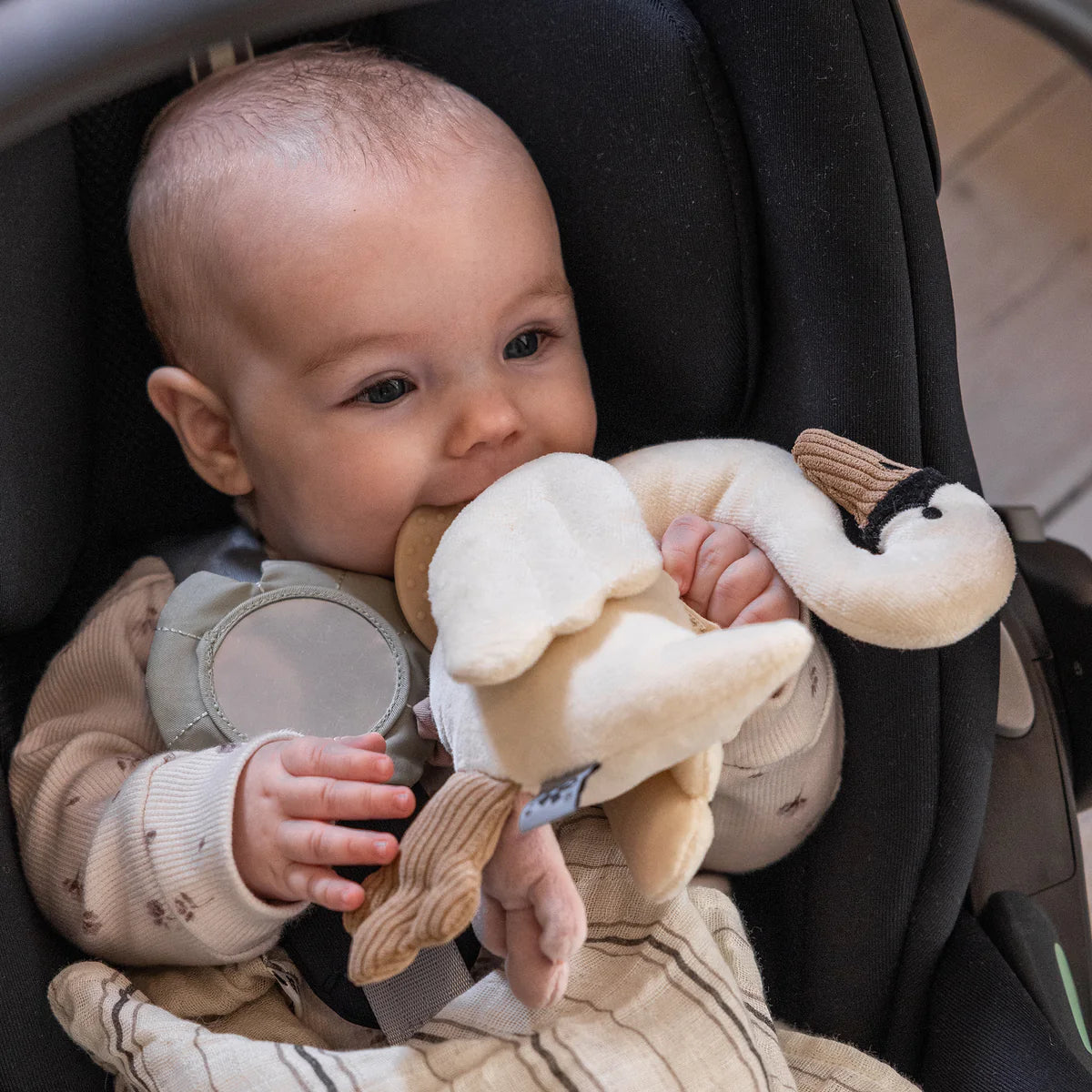 Activity Hanging Toy - Swan