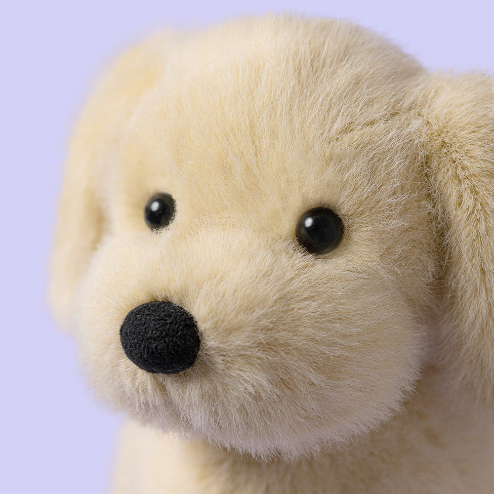 Bangsi  - Golden Puppy
