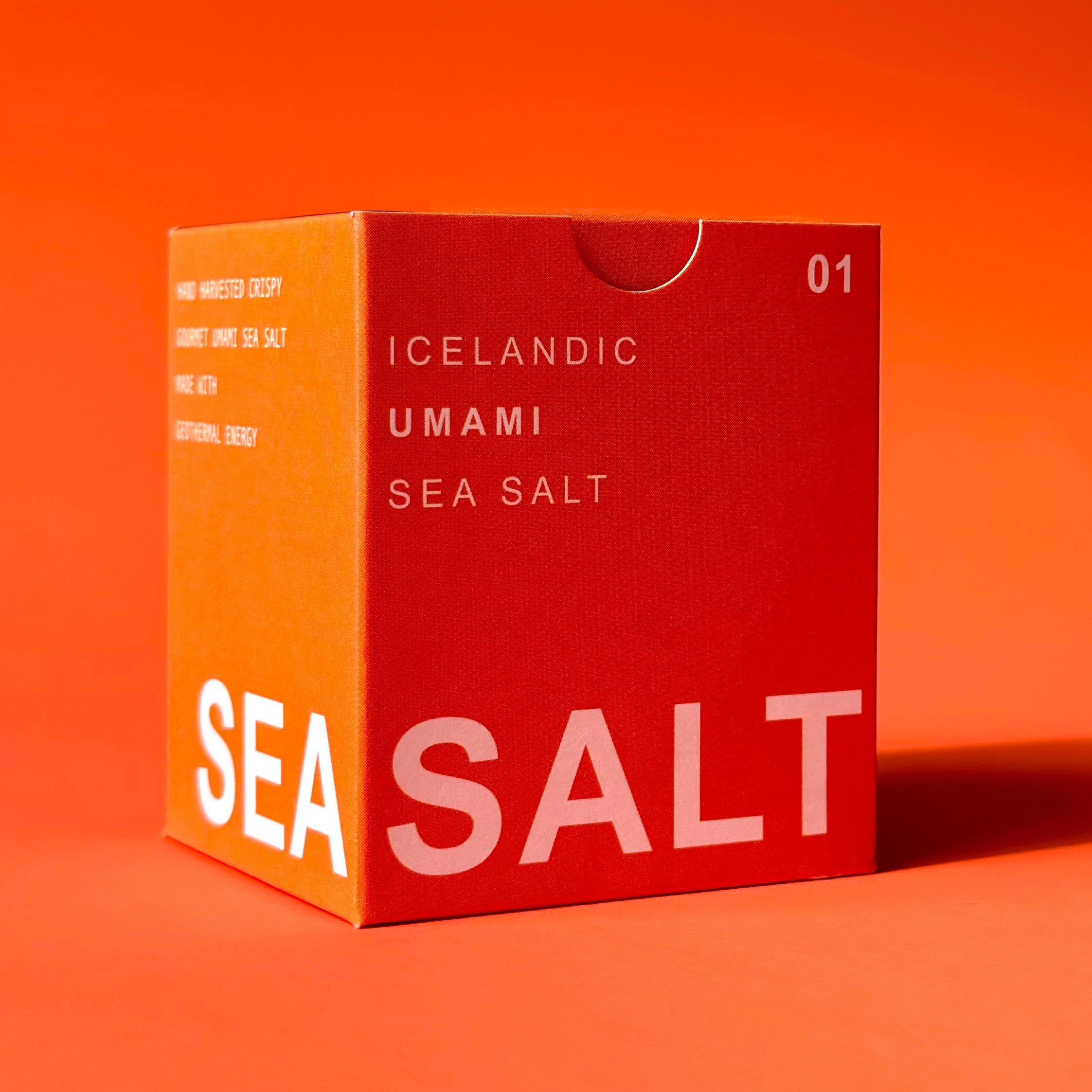 Umami Sea Salt 01