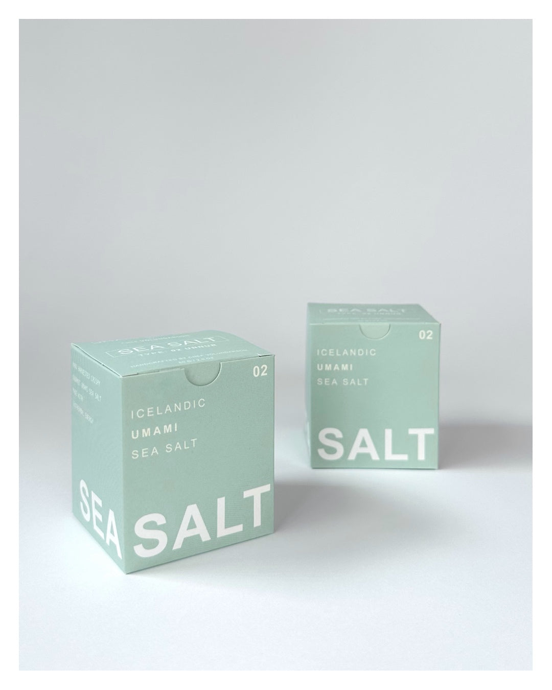 UMAMI SEA SALT 02
