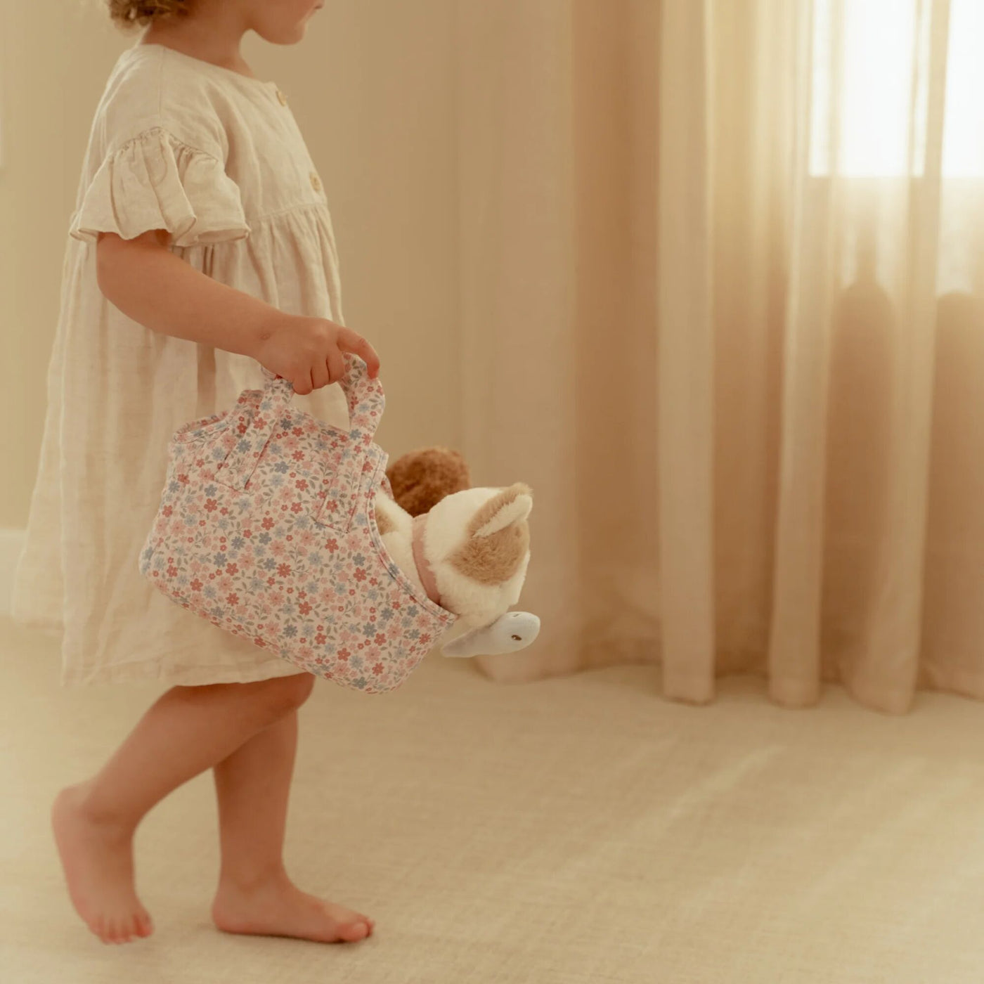 Kisa í burðartösku