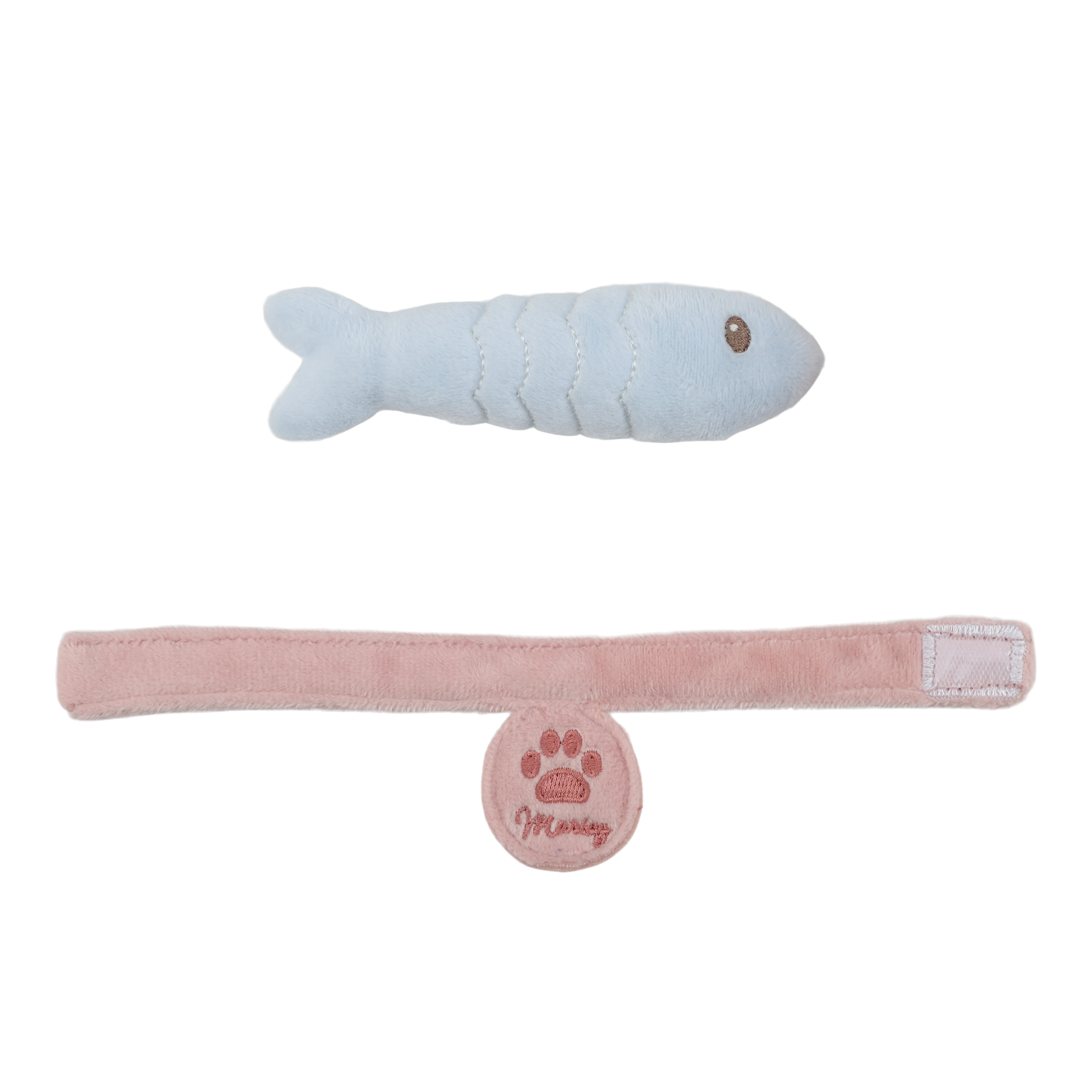 Kisa í burðartösku